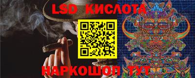 гидра Тверь