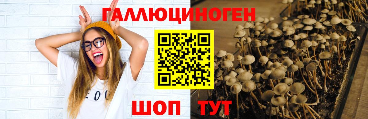 Псилоцибиновые грибы MAGIC MUSHROOMS Нефтекамск